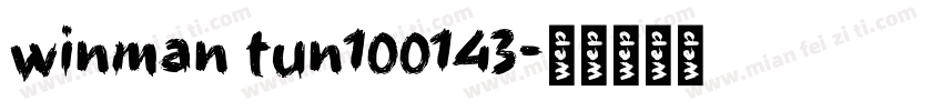 winman tun100143字体转换